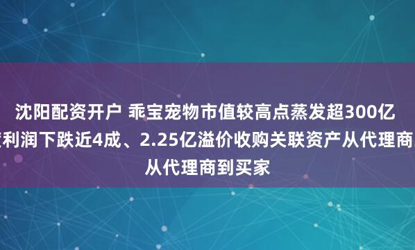 沈阳配资开户 乖宝宠物市值较高点蒸发超300亿 一季度利润下跌近4成、2.25亿溢价收购关联资产从代理商到买家